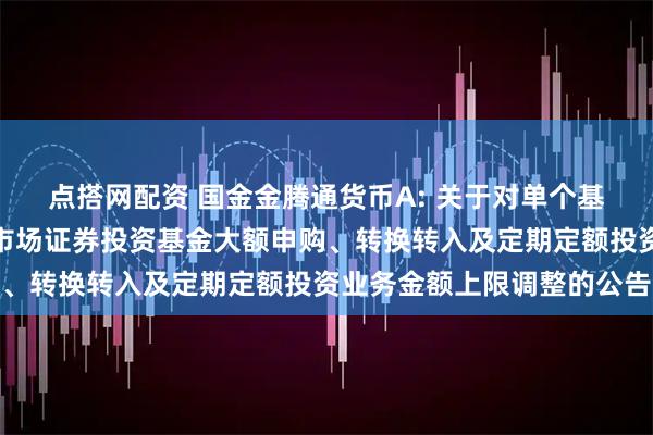 点搭网配资 国金金腾通货币A: 关于对单个基金账户国金金腾通货币市场证券投资基金大额申购、转换转入及定期定额投资业务金额上限调整的公告