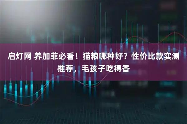 启灯网 养加菲必看!猫粮哪种好?性价比款实测推荐,毛孩子吃得香