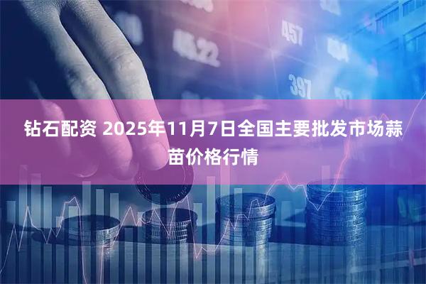 钻石配资 2025年11月7日全国主要批发市场蒜苗价格行情