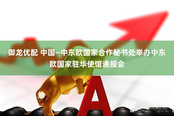 御龙优配 中国—中东欧国家合作秘书处举办中东欧国家驻华使馆通报会